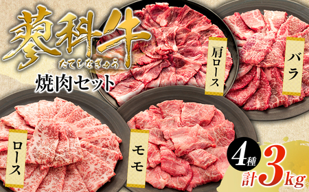 蓼科牛焼肉セット2(ロース200g×4パック、モモ350g×2パック、バラ350g×2パック、肩ロース400g×2パック)