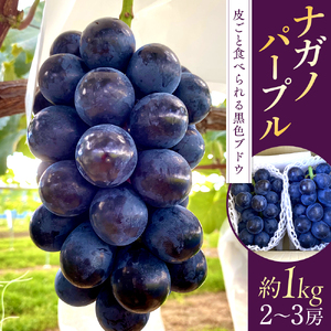 ナガノパープル(約1kg、2～3房)　