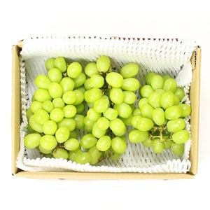 長野県青木村産シャインマスカット(1kg)