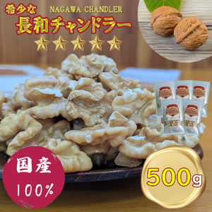 高級かしくるみ「長和チャンドラー」500g 希少な国産チャンドラー種 信州長和産 自社農園直送
