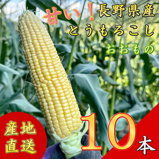[先行予約][期間限定]長野県長和町産 黒耀水育ちのあまいとうもろこし 人気品種「おおもの」10本入り とうもろこし セット 冷蔵便 新鮮スイートコーン5kg 朝採れトウモロコシ