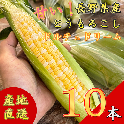 [先行予約][期間限定]長野県長和町産 黒耀水育ちのあまいとうもろこし 人気品種「ドルチェドリーム」10本入り とうもろこし セット 冷蔵便 新鮮スイートコーン4kg 朝採れトウモロコシ