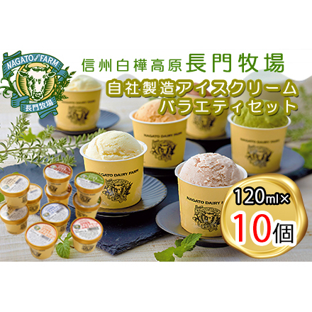 [ふるなびWEEK対象]長門牧場アイスクリーム10個セットA-1 6種のフレーバー詰め合わせ(バニラ、チョコレート、抹茶、ヨーグルト、いちご、あんず)