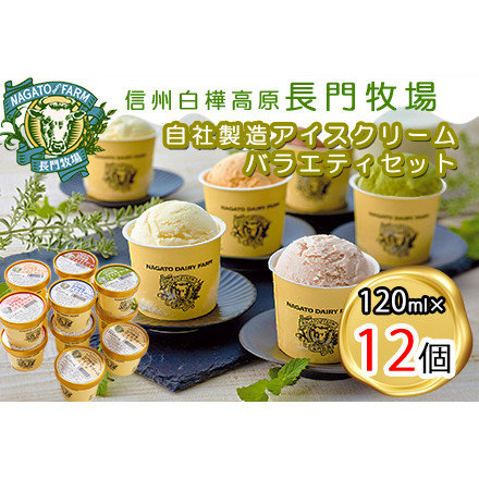 [ふるなびWEEK対象]長門牧場アイスクリーム12個セットA-2 6種のフレーバー詰め合わせ(バニラ、チョコレート、抹茶、ヨーグルト、いちご、あんず)