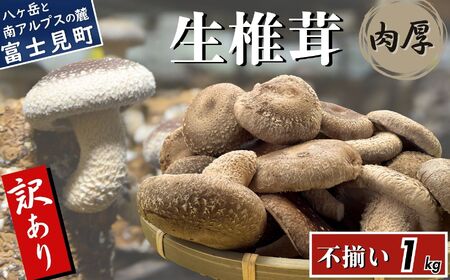 󂠂 Y  1kg |  ЃC{[