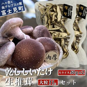 大粒 肉厚国産 生しいたけ 11粒 + 乾ししいたけ (スライス50g×2) | しいたけ 株式会社レインボー