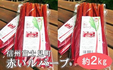 [先行受付]富士見町の赤いルバーブ約2kg(500g×4袋) 2024年5月末より順次発送