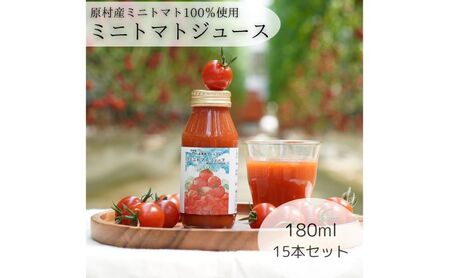 ݂_@MBY g}gW[X@180ml×15{Zbg ʏ` ؈