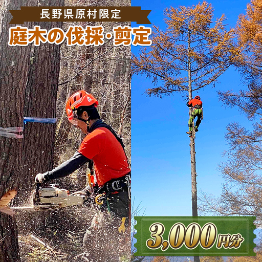 [原村限定]庭木の伐採・剪定サービス 3,000円分