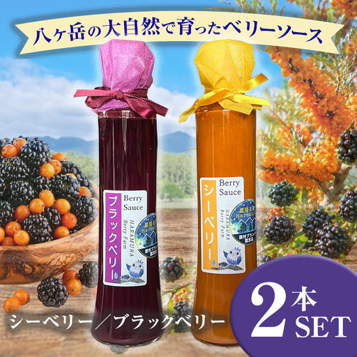 八ヶ岳 の大自然で育った ブラックベリー & シーベリー ソース 2本 セット