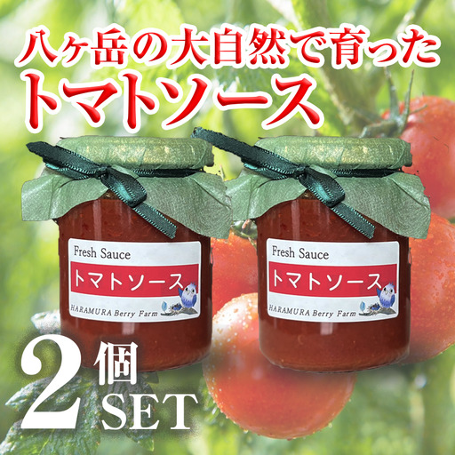 八ヶ岳 の大自然で育った トマトソース 2本 セット