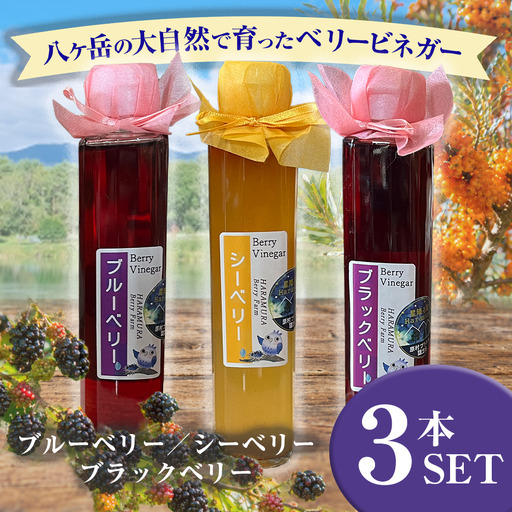 八ヶ岳の大自然で育った ベリービネガー 3本セット ( ブラックベリー , シーベリー , ブルーベリー )