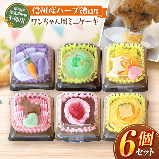 信州 & 八ヶ岳 ミート ケーキ ミニ パーティー セット 6種入 ( 犬用 )