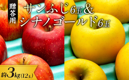 [贈答用]りんご 長野 サンふじ6玉&シナノゴールド6玉 約3kg (12玉)