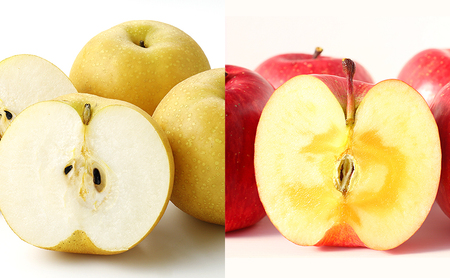 [9月,11月発送定期便]2024年信州の梨&りんご 品種おまかせ 約3キロ全2回