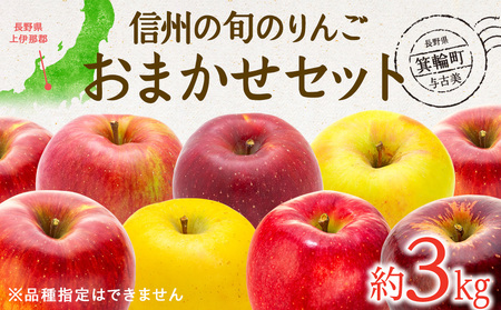 [2024年/令和6年度発送分 先行予約]信州の旬のりんごおまかせ約3kgセット りんご リンゴ 林檎 長野 フルーツ 果物 信州産 長野県産 特産 産地直送 おすすめ