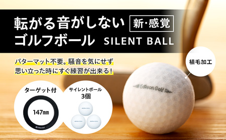 [ふるなび限定]サイレントボール ターゲット付 FN-Limited