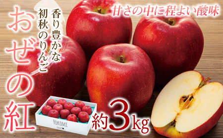 [2024年/令和6年度発送分!先行予約]甘さの中に程よい酸味があり、香り豊かな初秋のりんご[おぜの紅]約3kg