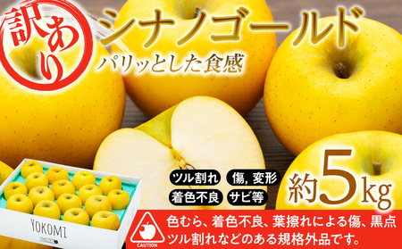 訳あり りんご 5kg  2025年 令和7年度 発送分！ シナノゴールド パリッとした食感 林檎 リンゴ 傷 キズ 果物 くだもの フルーツ 旬の果物 旬のフルーツ 家庭用 訳アリ 信州 長野 長野県