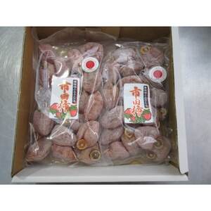 市田柿 1kg(500g×2袋)