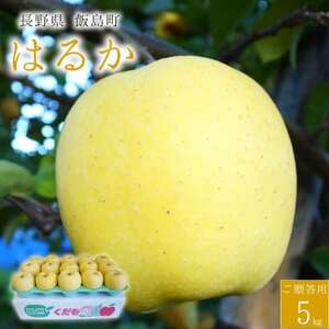 [桃沢晴香園]はるか(りんご)5kg[配送不可地域:離島・沖縄県]