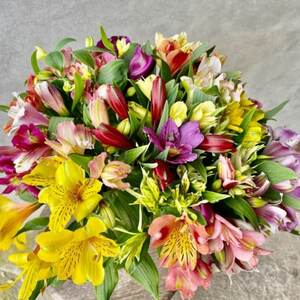 アルストロメリア 切花(色・品種おまかせ) 40センチ20本[配送不可地域:離島]