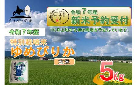 【令和7年産】 ゆめぴりか (玄米) 特Aランク 北海道 米 を代表する人気の品種 5kg 【2025年10月上旬発送開始】 北海道 鷹栖町 たかすのお米 米 コメ こめ ご飯 玄米 お米 ゆめぴりか コメ 玄米