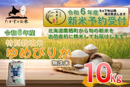 A221[ 令和6年産 ] ゆめぴりか ( 無洗米 ) 特Aランク 北海道 米 を代表する人気の品種 10kg 北海道 鷹栖町 たかすのお米 コメ こめ ご飯無洗米 お米 ゆめぴりか コメ 