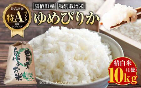 [令和7年産]ゆめぴりか(精白米)特Aランク 10kg 北海道 鷹栖町 米 コメ ご飯 精白米 お米 ゆめぴりか [2025年9月下旬より発送予定]