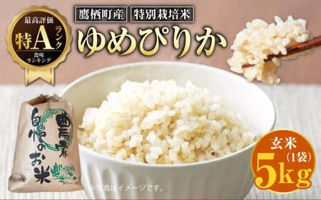 [令和7年産]ゆめぴりか(玄米) 5kg 北海道 鷹栖町 たかすのおむすび 米 コメ ご飯 玄米 お米 ゆめぴりか [2025年9月下旬より発送予定]