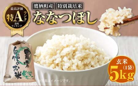 [令和7年産]ななつぼし(玄米) 5kg 北海道 鷹栖町 たかすのおむすび 米 コメ ご飯 玄米 お米 ななつぼし [2025年9月下旬より発送予定]