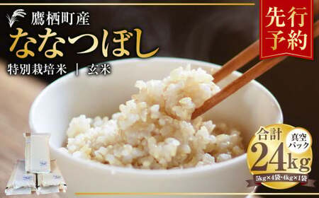 [令和7年産] ななつぼし (玄米) 真空パック 24kg 米 お米 玄米 北海道 玄米ご飯 鷹栖町 [2025年9月下旬より発送開始]