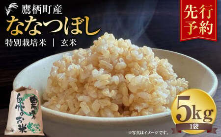 [令和7年産] ななつぼし (玄米) 5kg 米 お米 玄米 北海道 玄米ご飯 鷹栖町 [2025年9月下旬より発送開始]