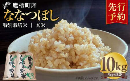 [令和7年産] ななつぼし (玄米) 5kg×2袋 米 お米 玄米ごはん 玄米 北海道 鷹栖町 [2025年9月下旬より発送開始]