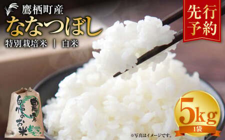 [令和7年産] ななつぼし (白米) 5kg 米 お米 精白米 白米 こめ 北海道 鷹栖町 [2025年9月下旬より発送開始]