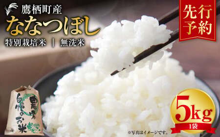 [令和7年産] ななつぼし (無洗米) 5kg 米 白米 ごはん お米 5キロ 無洗米 北海道 鷹栖町 [2025年9月下旬より発送開始]