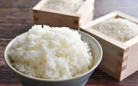yߘa7NYz ߂҂肩 ȂȂڂ Hה׃Zbg iāj e10kg 20kg kC 鐲 ̂ނ  R   