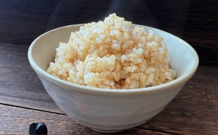yߘa7NYz ߂҂肩 iāj 10kg×2 20kg kC 鐲 ̂ނ  R   