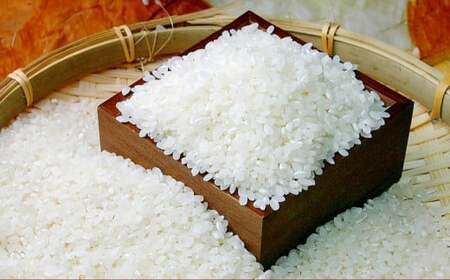 yߘa7NYz ߂҂肩 iāj 10kg×2 20kg kC 鐲 ̂ނ  R   