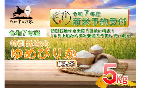 yߘa7NYz ߂҂肩 iāj kC  \lC̕i 5kg  kC 鐲 ̂  R  