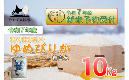 yߘa7NYz ߂҂肩 () kC  \lC̕i 10kg kC 鐲 ̂  R  