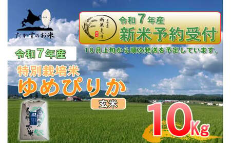 yߘa7NYz ߂҂肩 () kC  \lC̕i 10kg kC 鐲 ̂  R  