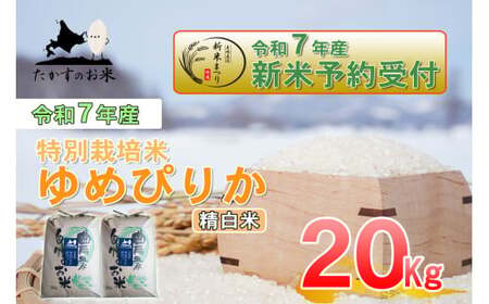 yߘa7NYz ߂҂肩 () kC  \lC̕i 10kg×2 20kg kC 鐲 ̂  R  