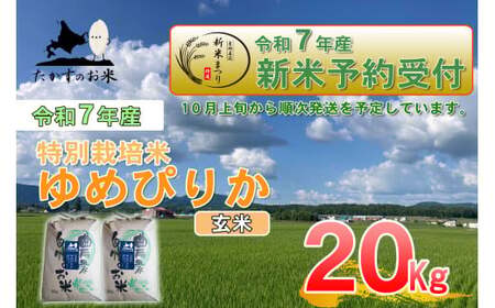 yߘa7NYz ߂҂肩 iāj kC  \lC̕i 10kg×2 20kg kC 鐲 ̂  R  