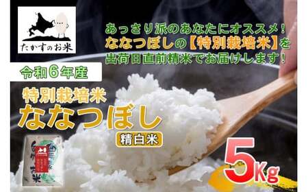 y ߘa7NY z ȂȂڂ i  j kC  Ԃ̕i 5kg kC 鐲 ̂ R  