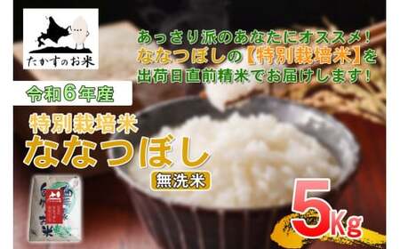 [ 令和7年産 ] ななつぼし ( 無洗米 ) 北海道 米 定番の品種 5kg 北海道 鷹栖町 たかすのお米 コメ こめ ご飯