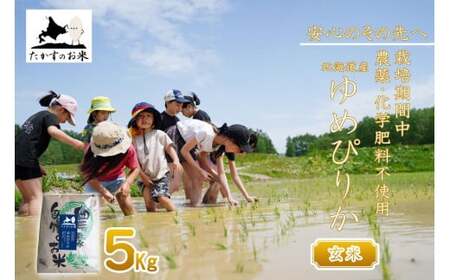 y ߘa7NY z ͔|Ԓ_sgp ߂҂肩 i  j 5kg kC 鐲 ̂ R  