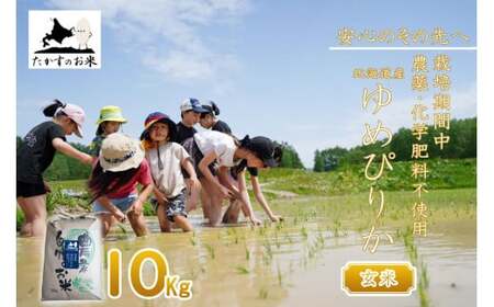 y ߘa7NY z ͔|Ԓ_sgp ߂҂肩 i  j 10kg kC 鐲 ̂ R  