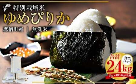 yߘa7NYz ߂҂肩 iāj ^pbN 24kg kC 鐲 ^t@[  R     ߂҂肩 R 