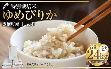 yߘa7NYz ߂҂肩 iāj ^pbN 24kg kC 鐲 ^t@[  R     ߂҂肩 R 